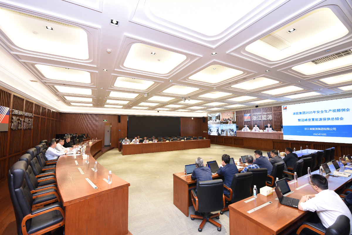 集团召开2025年安全生产视频例会暨迎峰度夏能源保供总结会