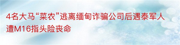 4名大马“菜农”逃离缅甸诈骗公司后遇泰军人遭M16指头险丧命